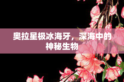 深海中的神秘生物图片