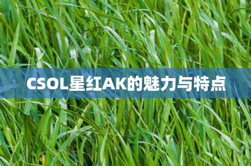 CSOL星红AK的魅力与特点图片