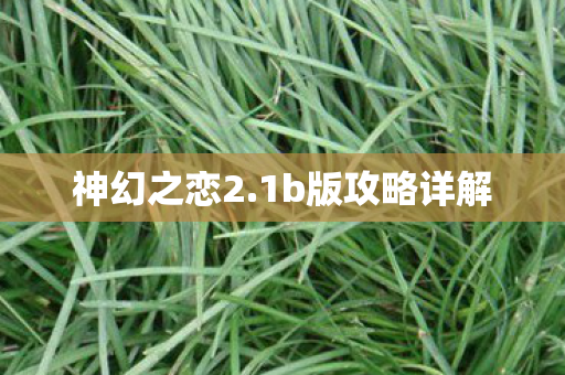 1b版攻略详解图片