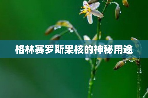 格林赛罗斯果核的神秘用途图片