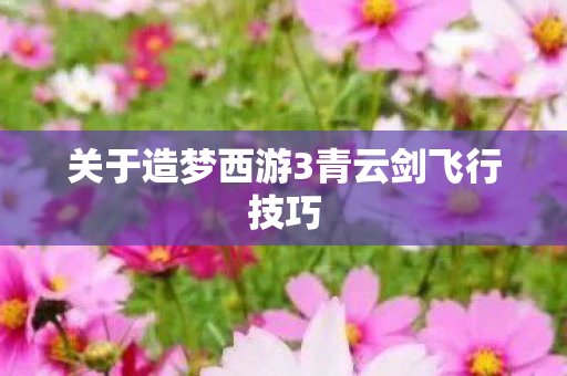 关于造梦西游3青云剑飞行技巧图片