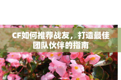 打造最佳团队伙伴的指南图片