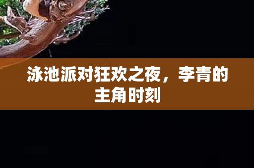 泳池派对狂欢之夜图片