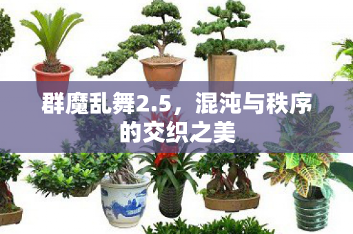 混沌与秩序的交织之美图片