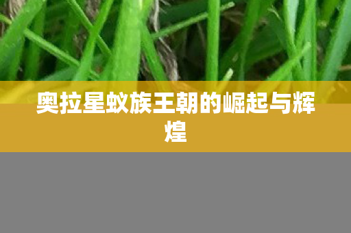 奥拉星蚁族王朝的崛起与辉煌图片