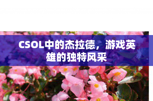 CSOL中的杰拉德图片