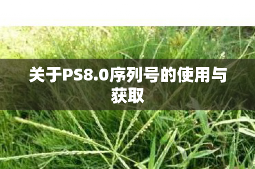 0序列号的使用与获取图片