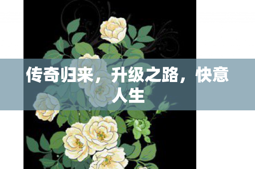传奇归来图片