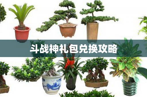 斗战神礼包兑换攻略图片