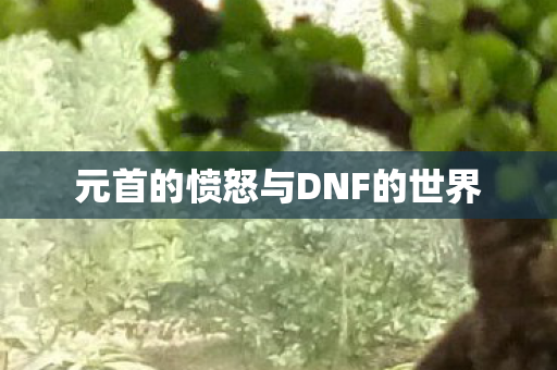 元首的愤怒与DNF的世界图片