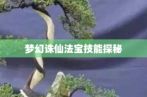 梦幻诛仙法宝技能探秘图片