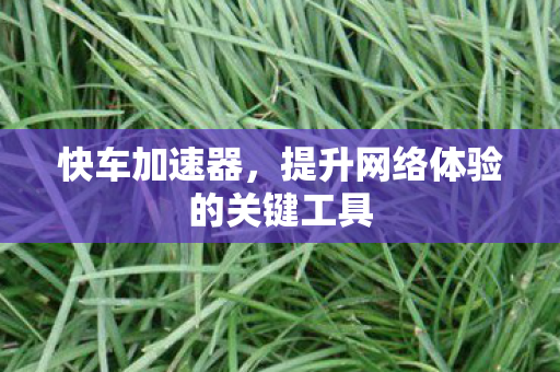 提升网络体验的关键工具图片