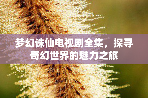 探寻奇幻世界的魅力之旅图片
