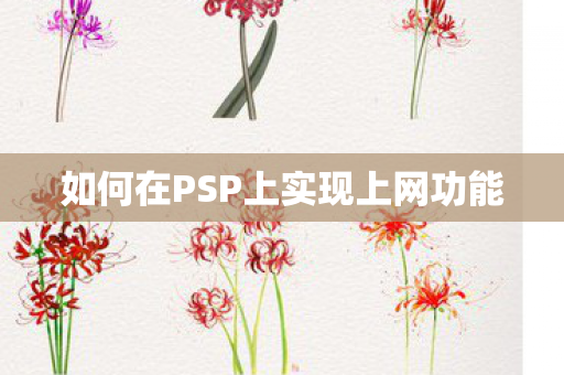 如何在PSP上实现上网功能图片