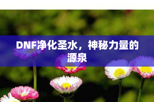 DNF净化圣水图片