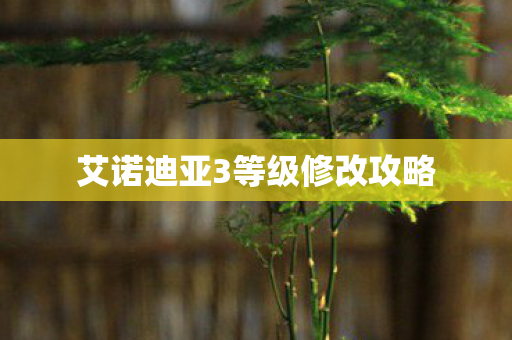 艾诺迪亚3等级修改攻略图片