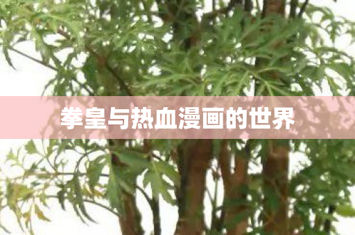 拳皇与热血漫画的世界图片
