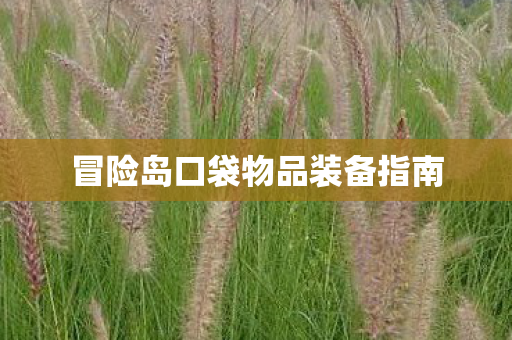 冒险岛口袋物品装备指南