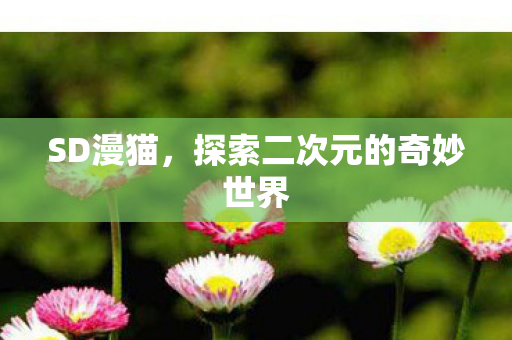 探索二次元的奇妙世界图片