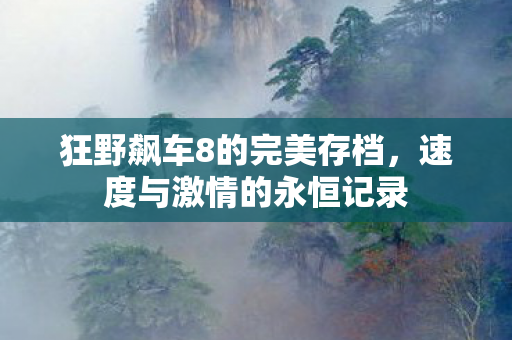 狂野飙车8的完美存档图片