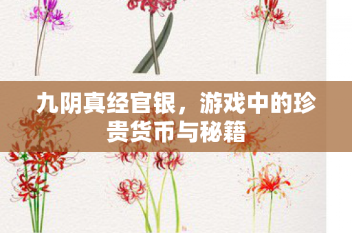 游戏中的珍贵货币与秘籍图片
