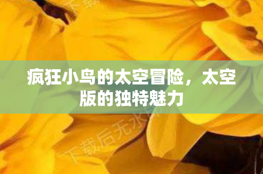疯狂小鸟的太空冒险图片