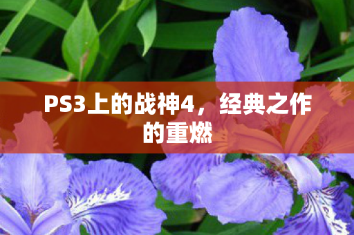 PS3上的战神4图片