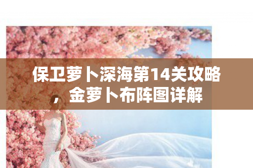 保卫萝卜深海第14关攻略图片
