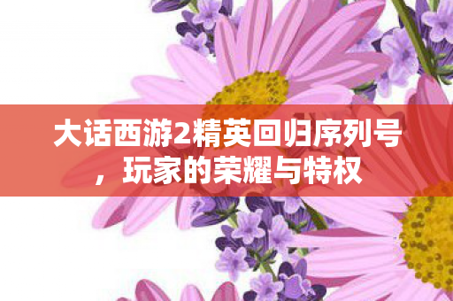 大话西游2精英回归序列号图片