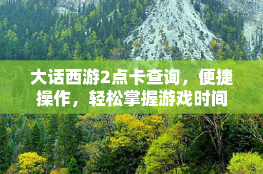 大话西游2点卡查询图片