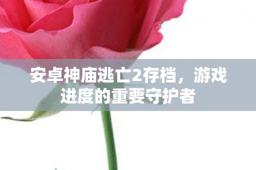 游戏进度的重要守护者图片