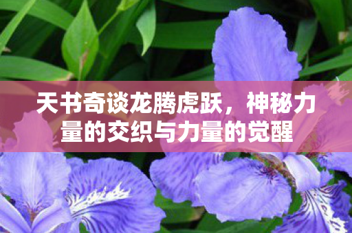 神秘力量的交织与力量的觉醒图片