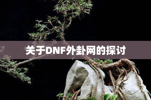 关于DNF外卦网的探讨图片