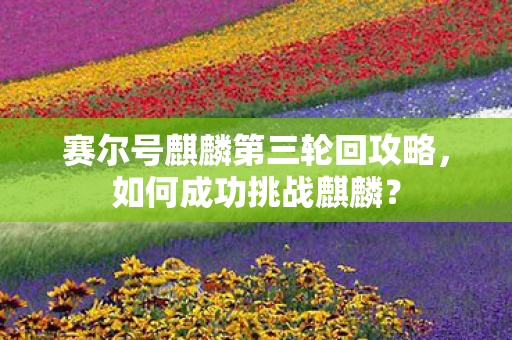 赛尔号麒麟第三轮回攻略图片