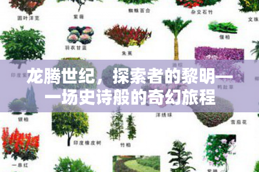 一场史诗般的奇幻旅程图片