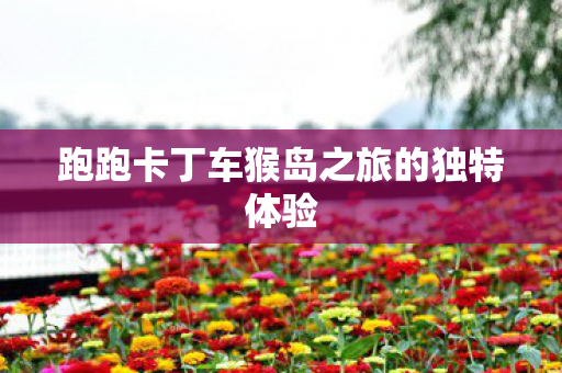 跑跑卡丁车猴岛之旅的独特体验图片