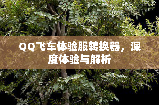 QQ飞车体验服转换器图片