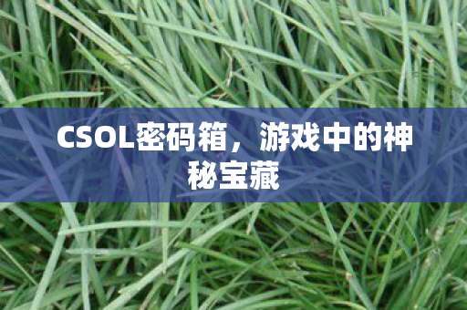 游戏中的神秘宝藏图片