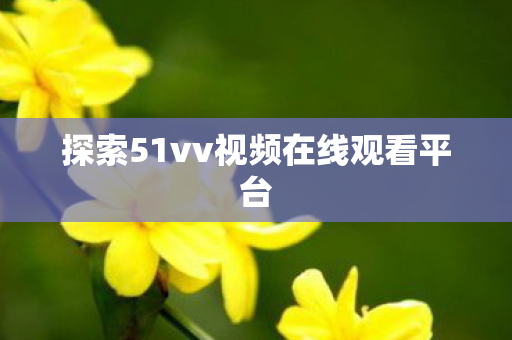 探索51vv视频在线观看平台图片