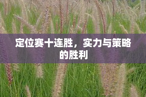 实力与策略的胜利图片