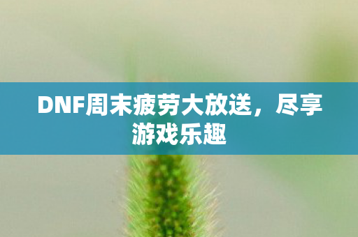 DNF周末疲劳大放送图片