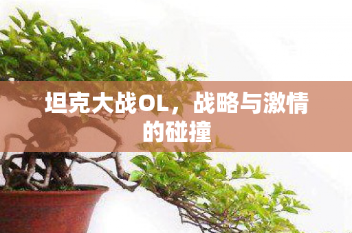 战略与激情的碰撞图片