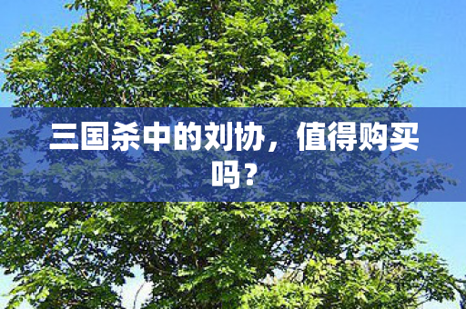 三国杀中的刘协图片