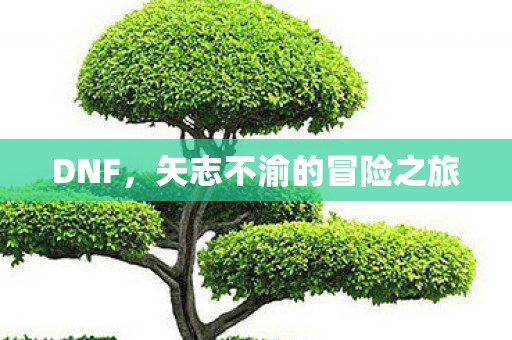 矢志不渝的冒险之旅图片