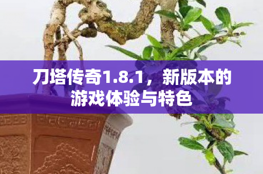 新版本的游戏体验与特色图片