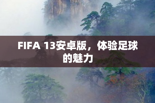 FIFA 13安卓版图片