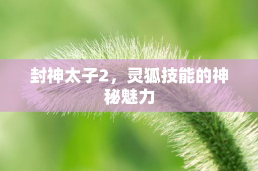 灵狐技能的神秘魅力图片