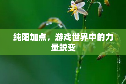 游戏世界中的力量蜕变图片