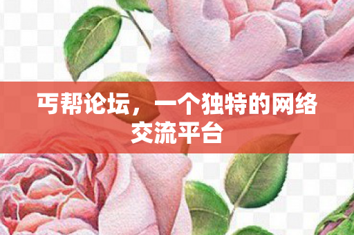一个独特的网络交流平台图片