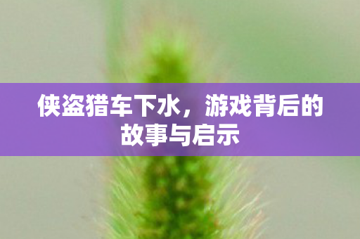 游戏背后的故事与启示图片